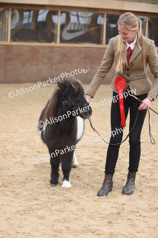 20251109-0206 - Class 10 - Yearling, Colt, Filly or Gelding