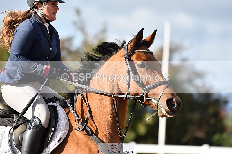 231014A-105146-03924 - Cls 13 85cm Amateur Q 2nd R