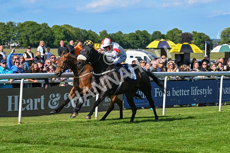 280525-Race 7-Blackcurrent-6250 - Race 7