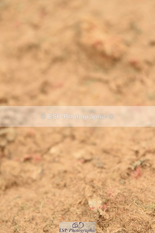 230610A-154248-04092 - Cls 25 Team Competition