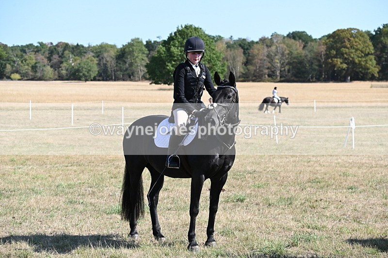 WJ6_7606 - Class 34 Judges Choice