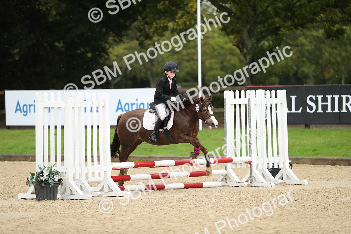 SBM_34381 - J60 Clear Round 50cm
