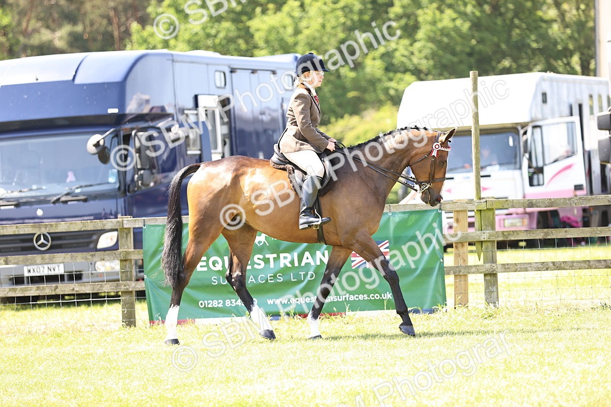 SBM_14836 - Class 78 - LIHS BSHA Open Racehorse & Show Horse