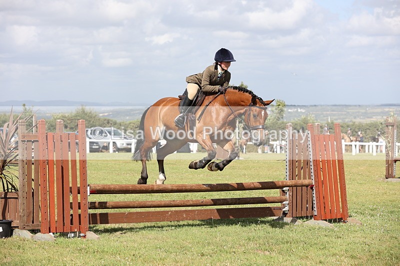 JPP_2614 - Class 20: Working Hunter 70cm