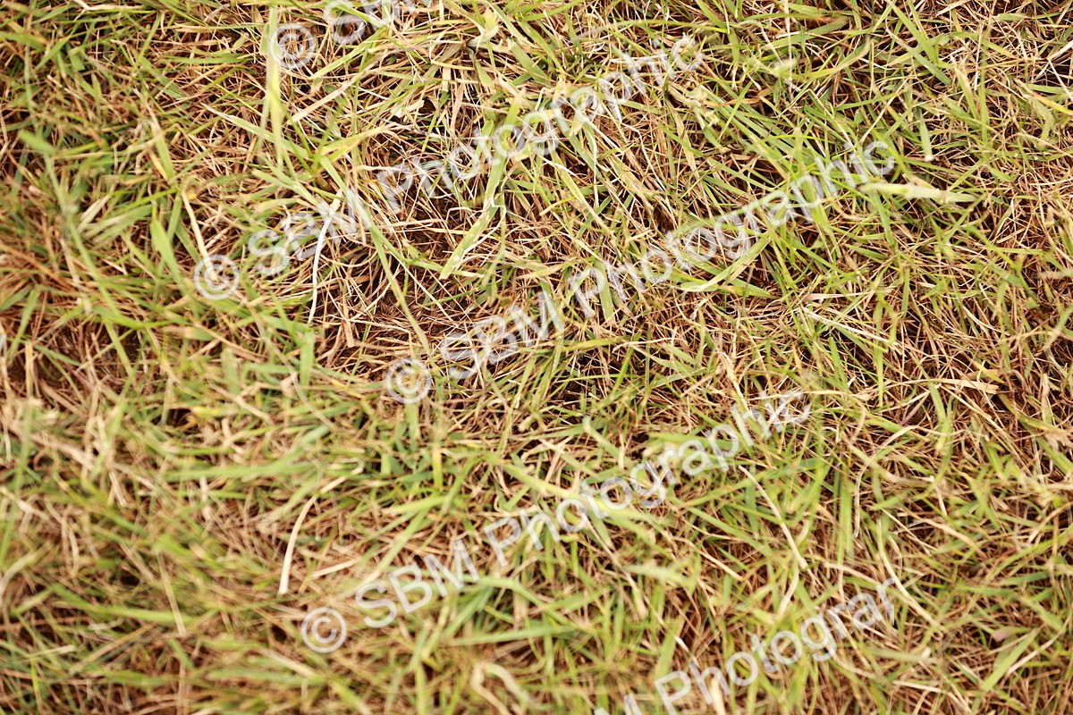 SBM_04709 - Class 5-8 - BSPA In hand