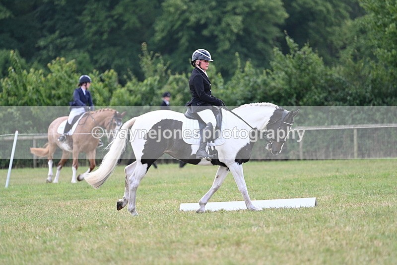 WJ7_5271 - Time 11:22 to 11:51