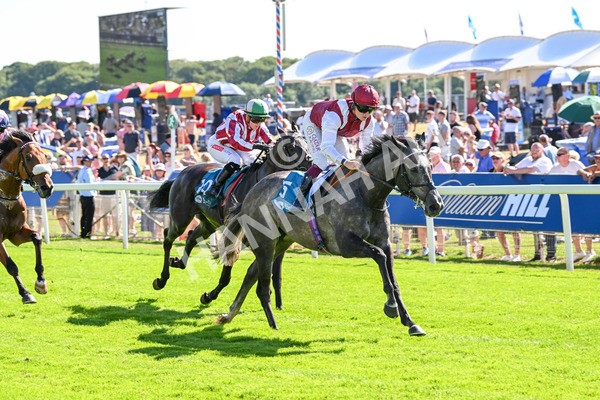 110725-Race 5-Mahras Love-4471 - Race 5 4.32pm Laura Barry Memorial Handicap