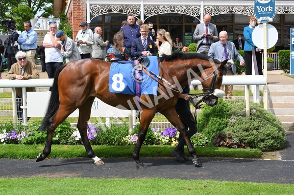 yr11062021r2-42 - Race 2 2.20pm Churchill Tyres Stakes