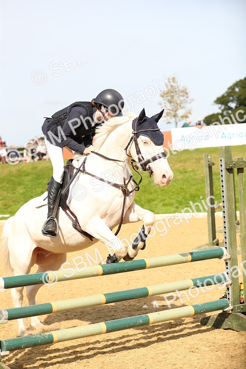 SBM_67954 - J17 - Junior Pony 80cm Championship