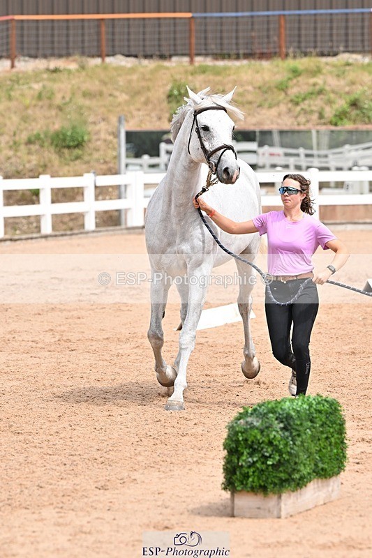 250716-142551-01083 - Trot Up 1.30 to 2.30