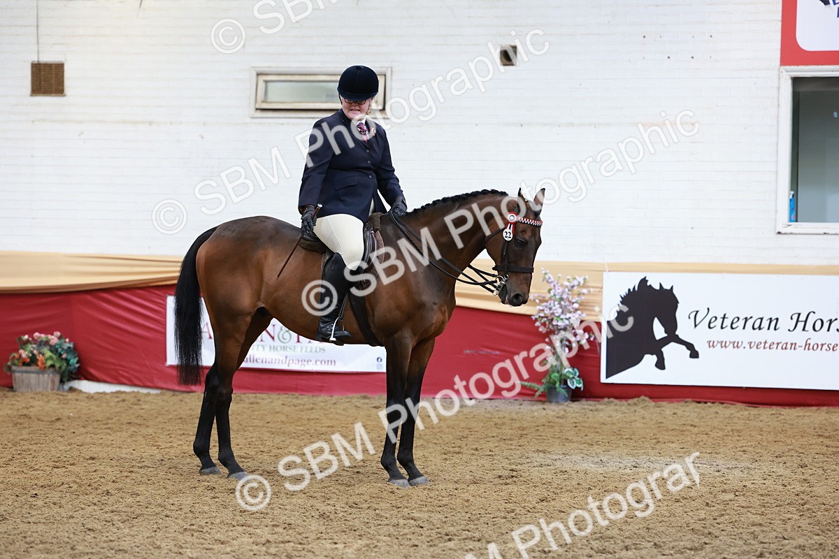 SBM_14955 - Class 108 - Ridden Retired Racehorse