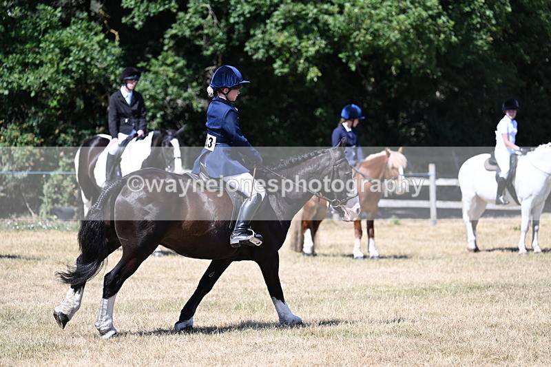 WJ7_3711 - Class 8 Ridden Veterans