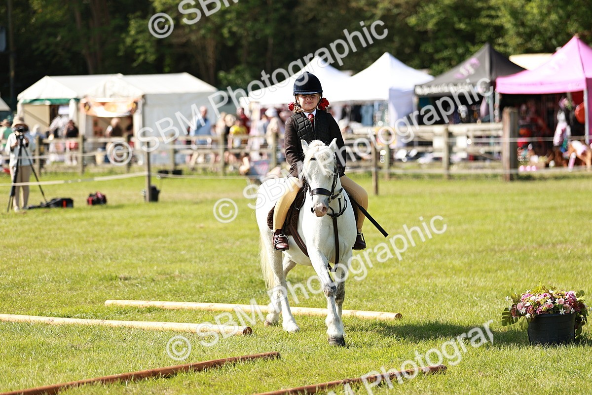 SBM_12622 - Class 106-107 - BSPS LIHS Working Sports Pony