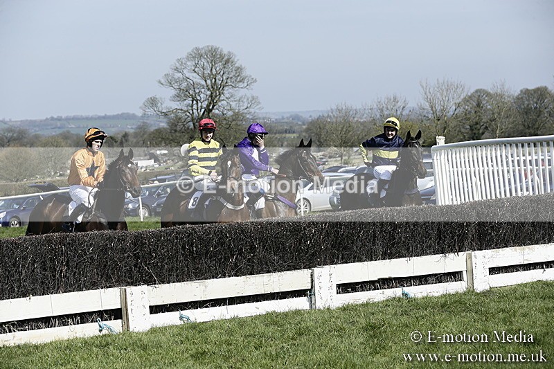 PtP 260317 24 - Mendip Farmers Point-to-Point Ston Easton 26/03/17
