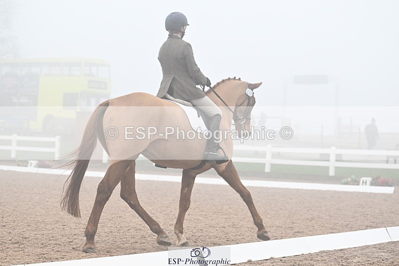 240217A-130342-02740 - 239-Sophie.Hawke-Dionysus