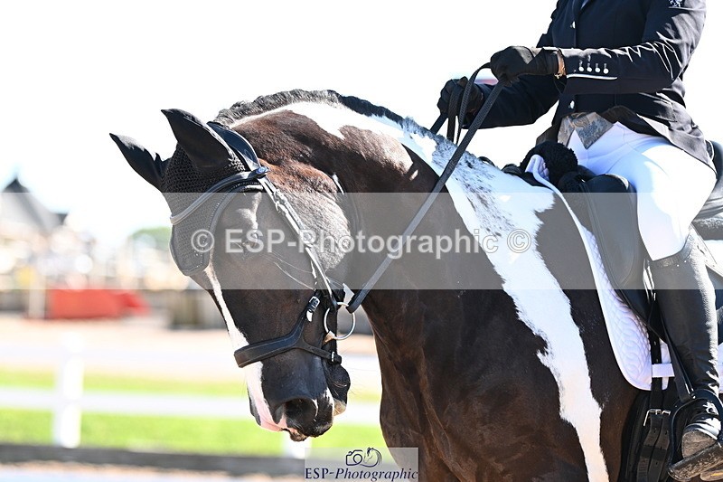 240816A-101501-03785 - 148-Donna.Willis-Cerrighedd.Yago