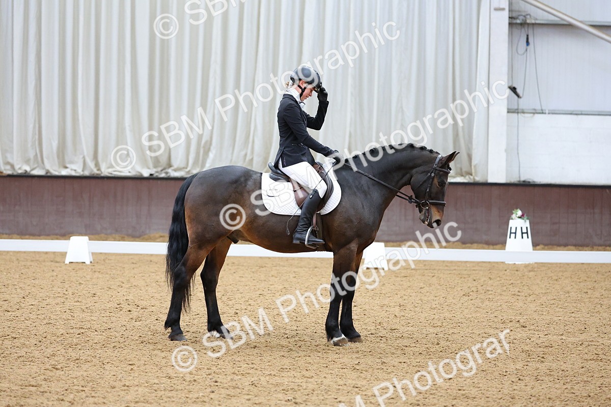 SBM_002738 - Novice