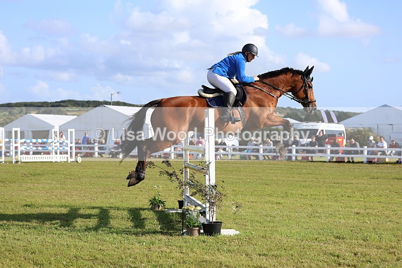 3E7A4383 - Class C: Showjumping Senior Foxhunter