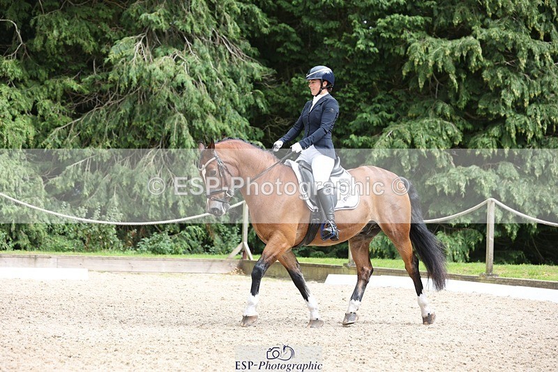 230812-151254-05081 - Cls 5 Novice Bronze 15.00 to End