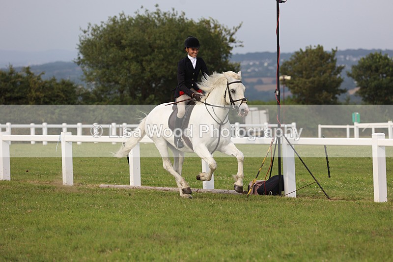 JPP_4728 - Working Hunter Championship