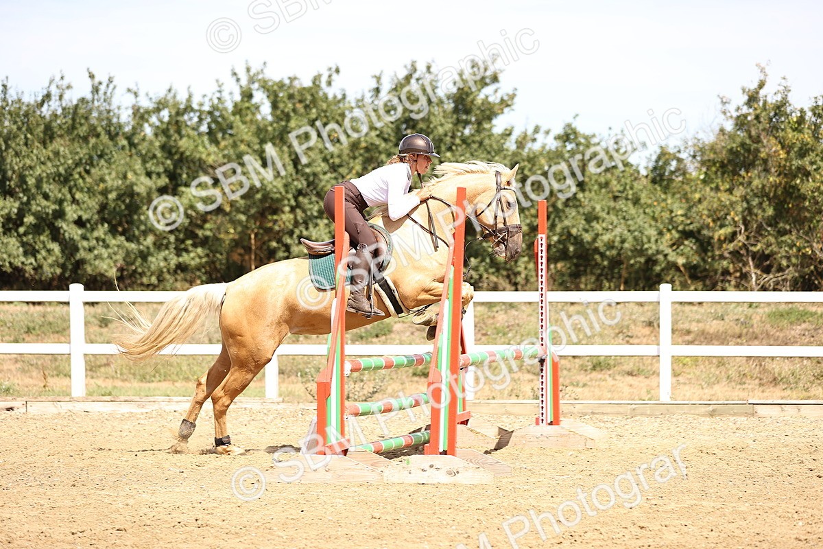 SBM_000790 - Class 3 - Senior British Novice - 90cm
