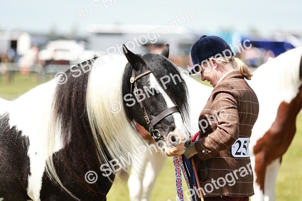 SBM_05514 - Class 41-45 - Riding Pony-Hunter Pony Breeding
