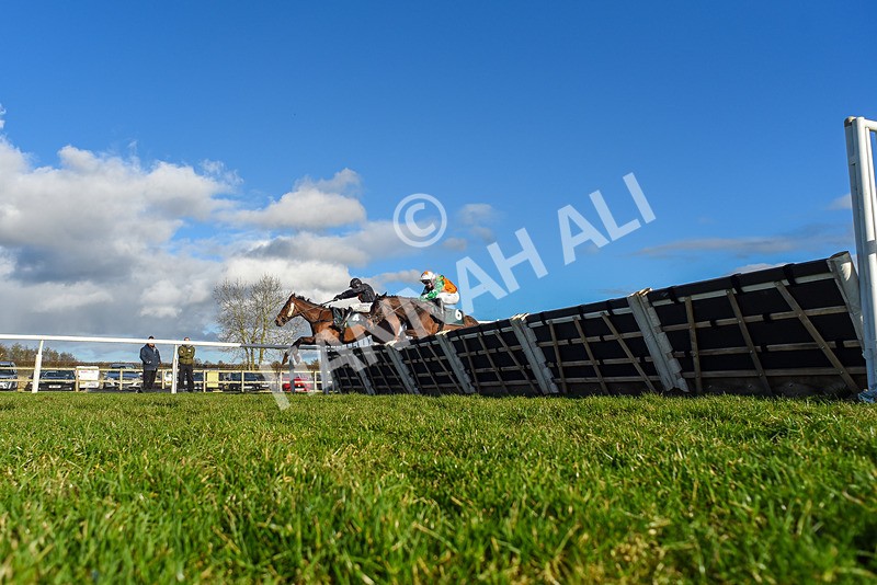 120224-Race 3-Tap N Go Leo-5607 - Race 3