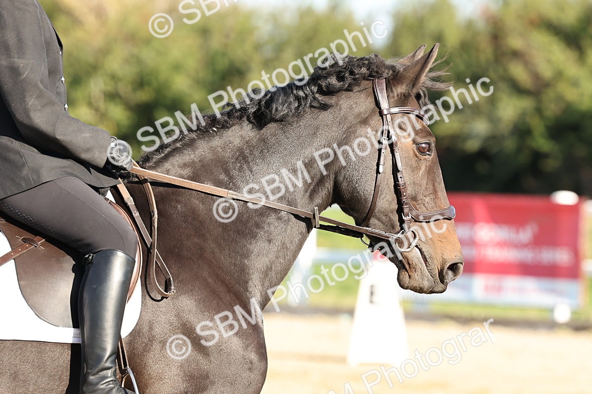 SBM_003140 - Class 66 - Intro 3