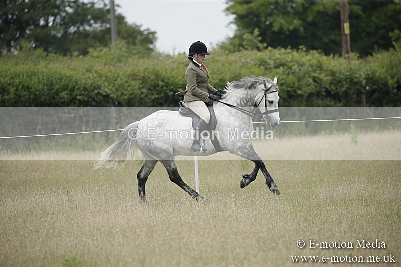 B230619-0521 - Bourne Valley Riding Club Summer Show 23/06/19