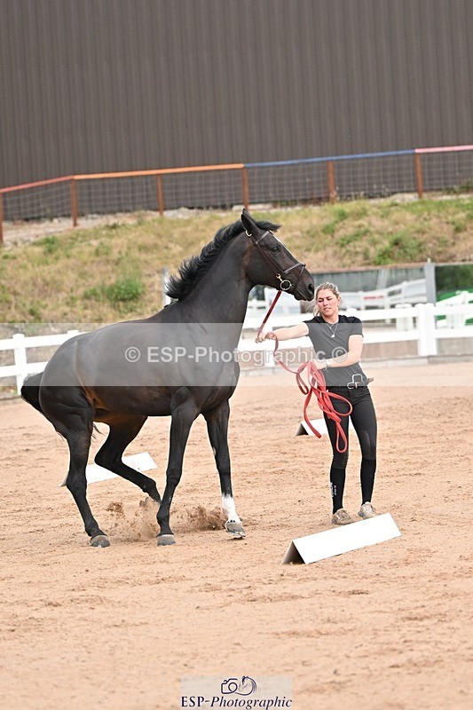 250716-151413-01803 - Trot Up 2.30 to 3.30