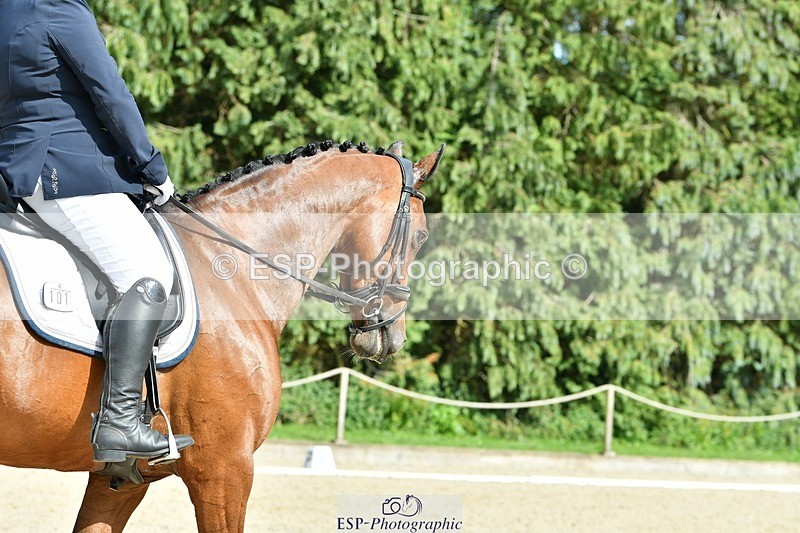 230623-163517-01360 - Cls 7 Medium 69