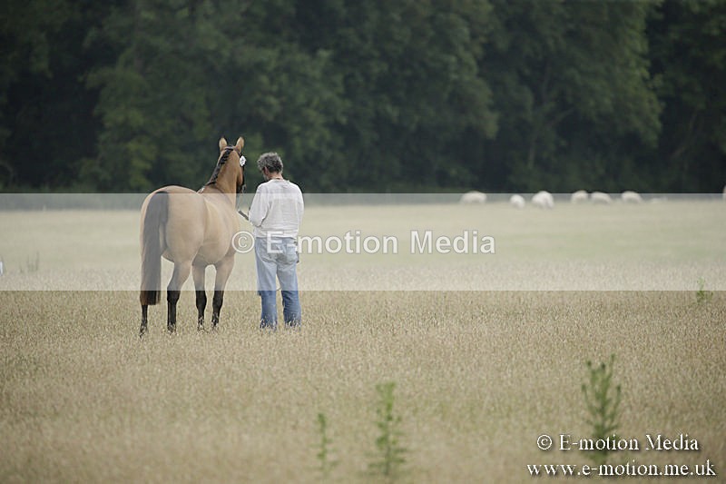 B230619-0249 - Bourne Valley Riding Club Summer Show 23/06/19