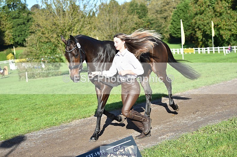 231022-102508-22467 - 435-TIMASSINI-Lana.Bennett-TrotUp+SJ