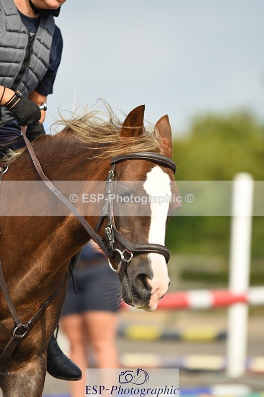 230817-104830-01780 - Kay's 2nd Group - Arena