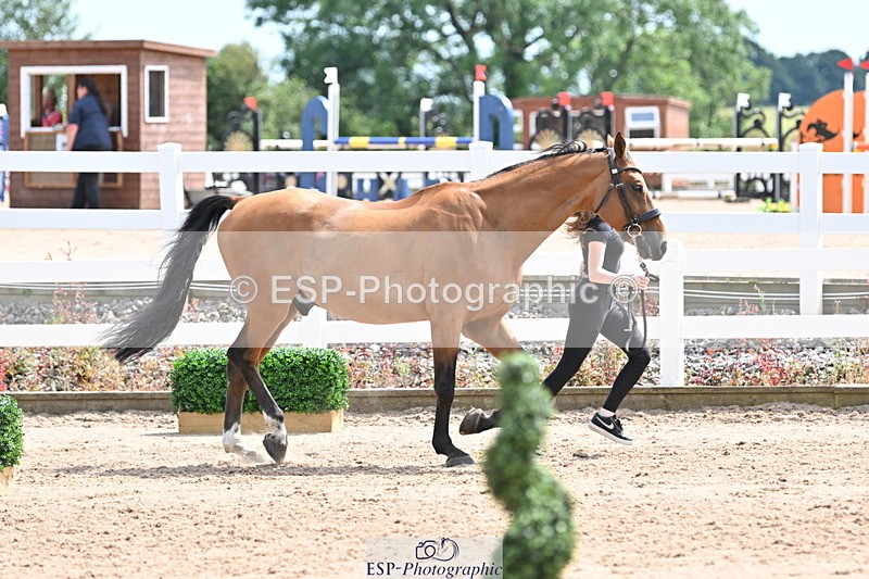 240717A-144556-02275 - Trot Up 2pm to 3pm - This folder is not in time order