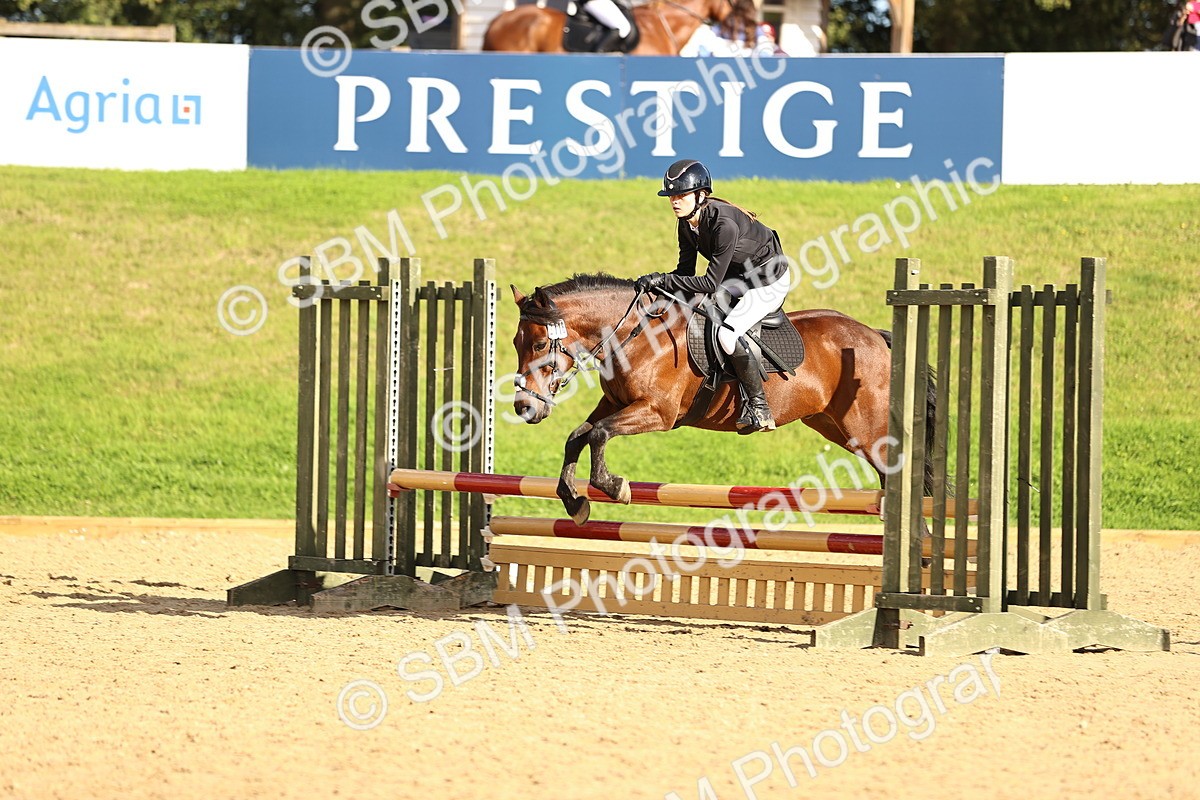SBM_51464 - J10 - Junior Pony 75cm Championship