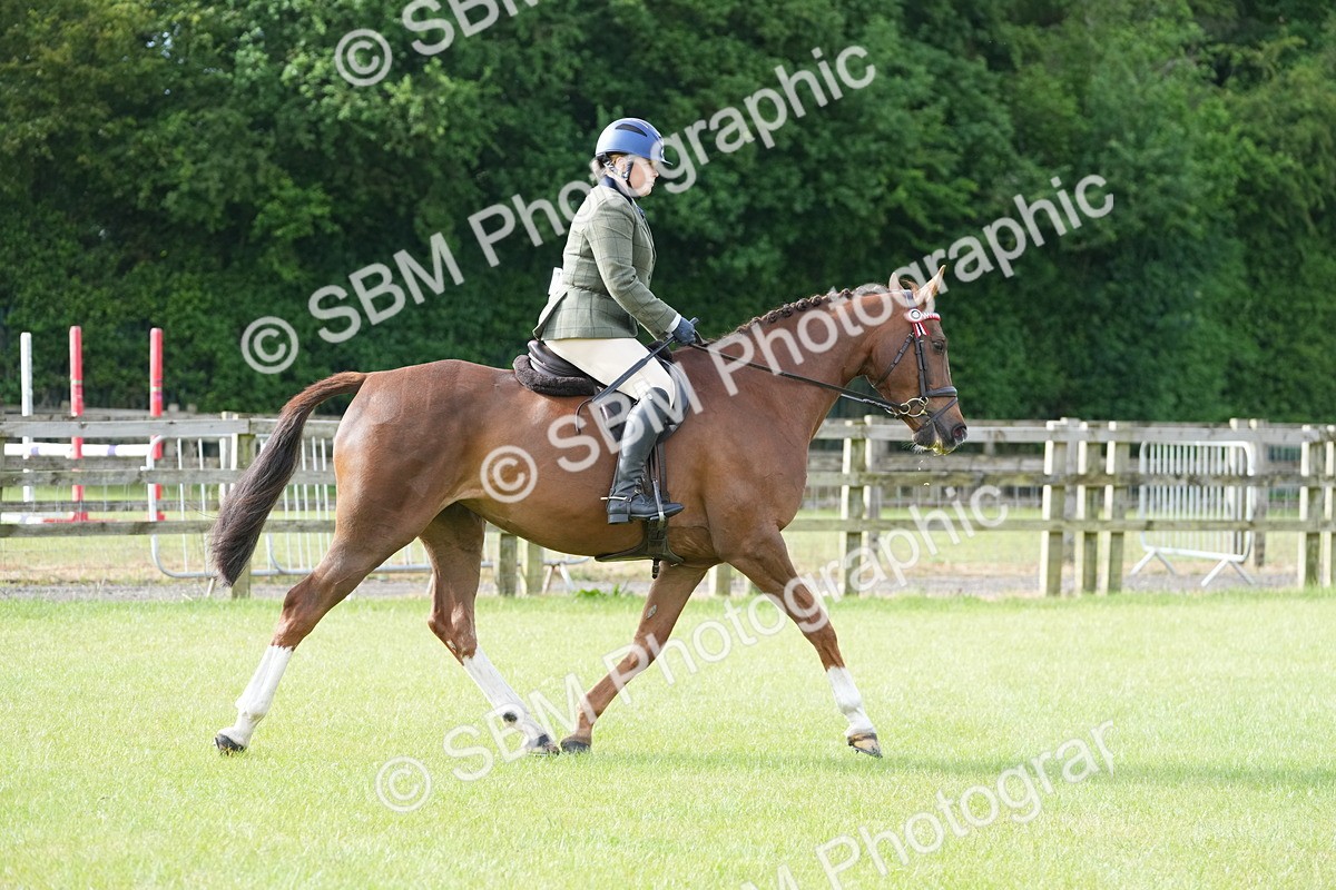SBM_10570 - Class 97-98 - LIHS BSHA Rising Star Working Show Horse Hunter