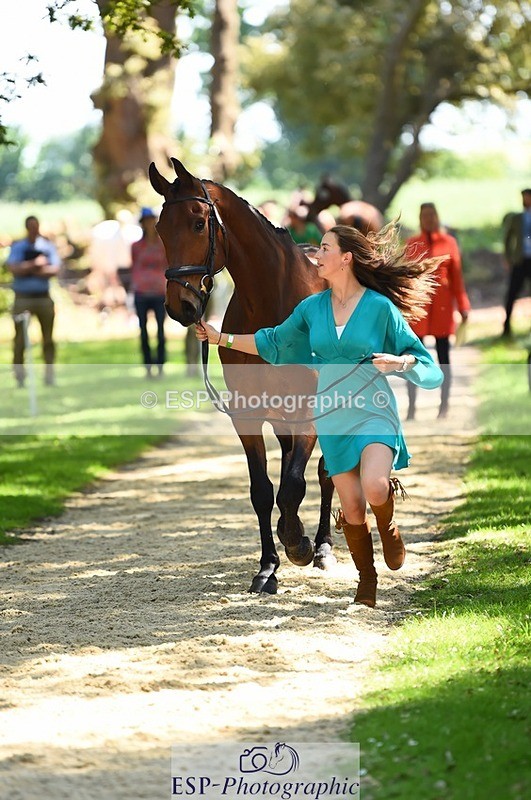 230524-150210-00023 - 304-MADFORD_LAW-Anna_Johannson-WEDTrotUp+DR