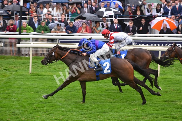yr21082021r6-39 - Race 6 4.45pm Sky Bet Stakes