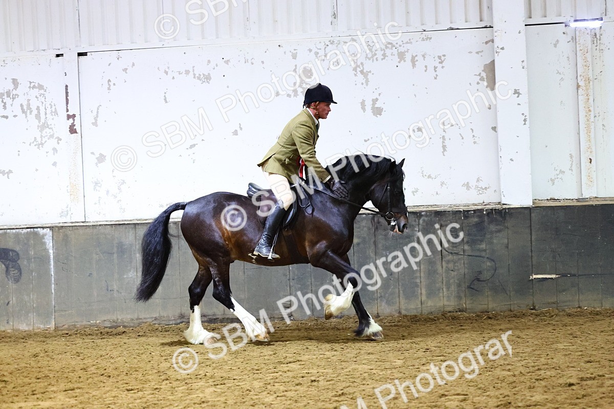 SBM_006713 - Class 43 - RIHS Qualifier Exceeding 43cms