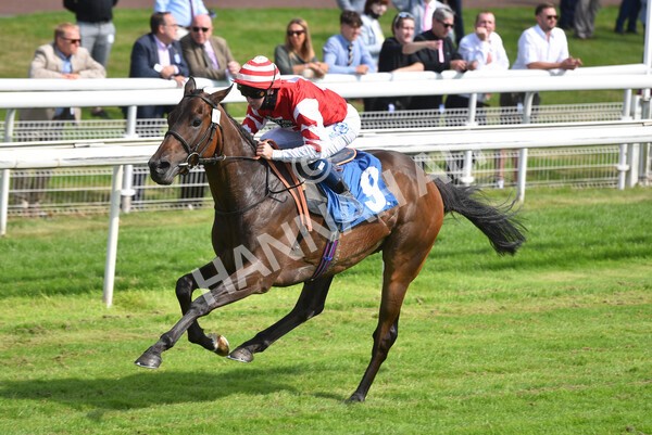 yr09072021r4-18 - Race 4 3.50pm William Hill Plus Bet Club Stakes