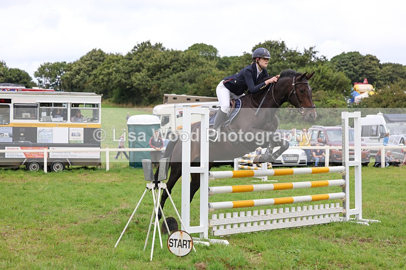 3E7A6997 - Class 5: Senior British Novice/90cm open