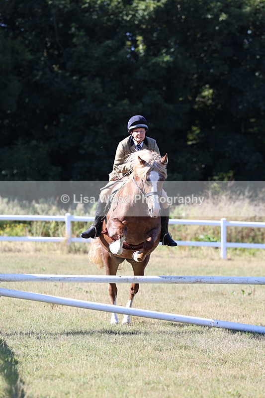 3E7A5419 - Class 3: Working Hunter 70cm