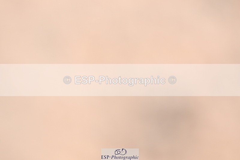 240621A-131919-03708 - Cls 8 BD Elementary 53