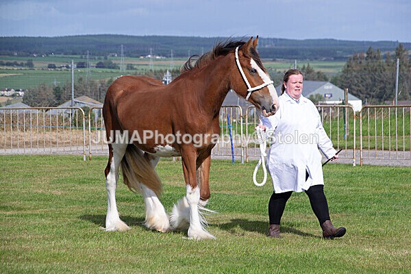 DSC_0134 - Ring 1