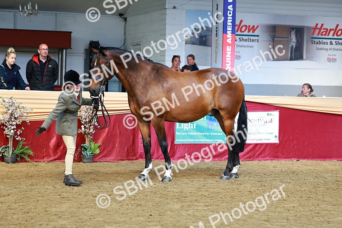 SBM_22370 - Class 902 - Supreme Final - IH Diamond