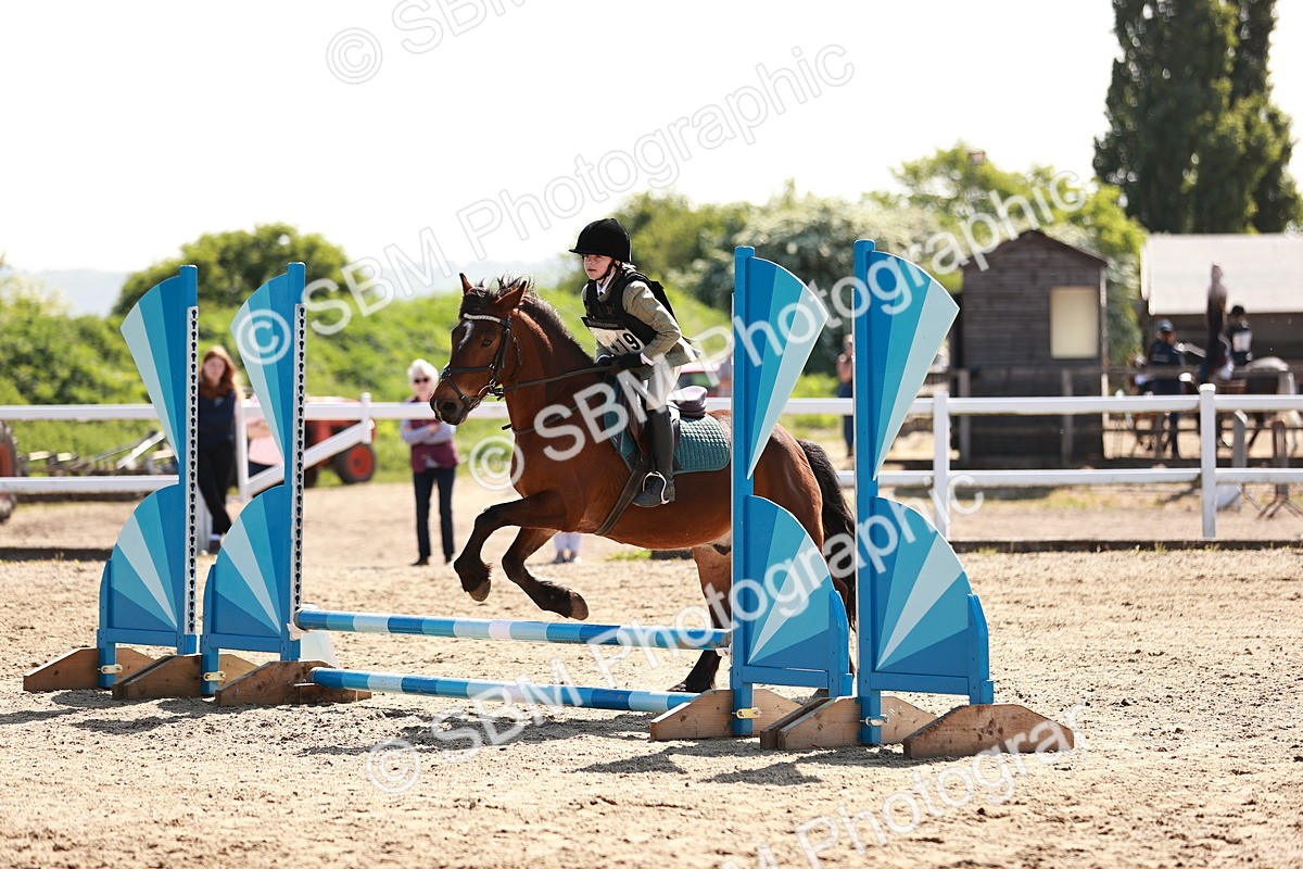 SBM_006806 - Class 2 - 50cm