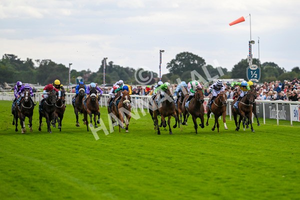 210824-Race 1-Jm Jungle-4474 - Race 1 1.50pm Symphony Group Handicap