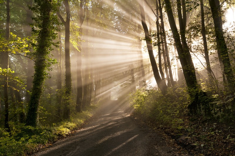 Morning rays, Castleton - Peak District & surrounding area