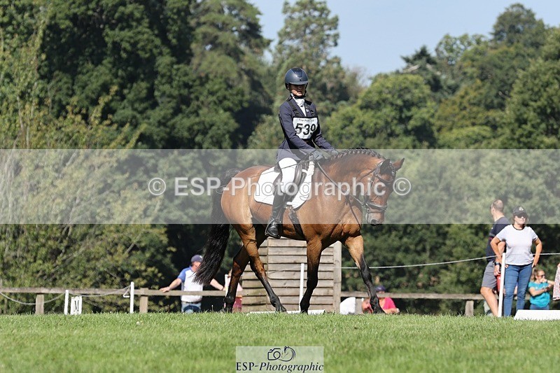 250823A-105139-27812 - Arena D